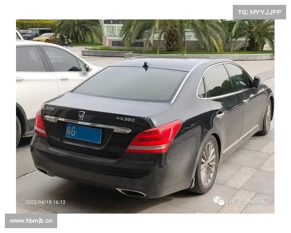 上等高丽参 丨 东亚豪华车——现代雅科仕二代_Hyundai Equus VI 上等高丽参 丨 东亚豪华车——现代雅科仕二代_Hyundai Equus VI